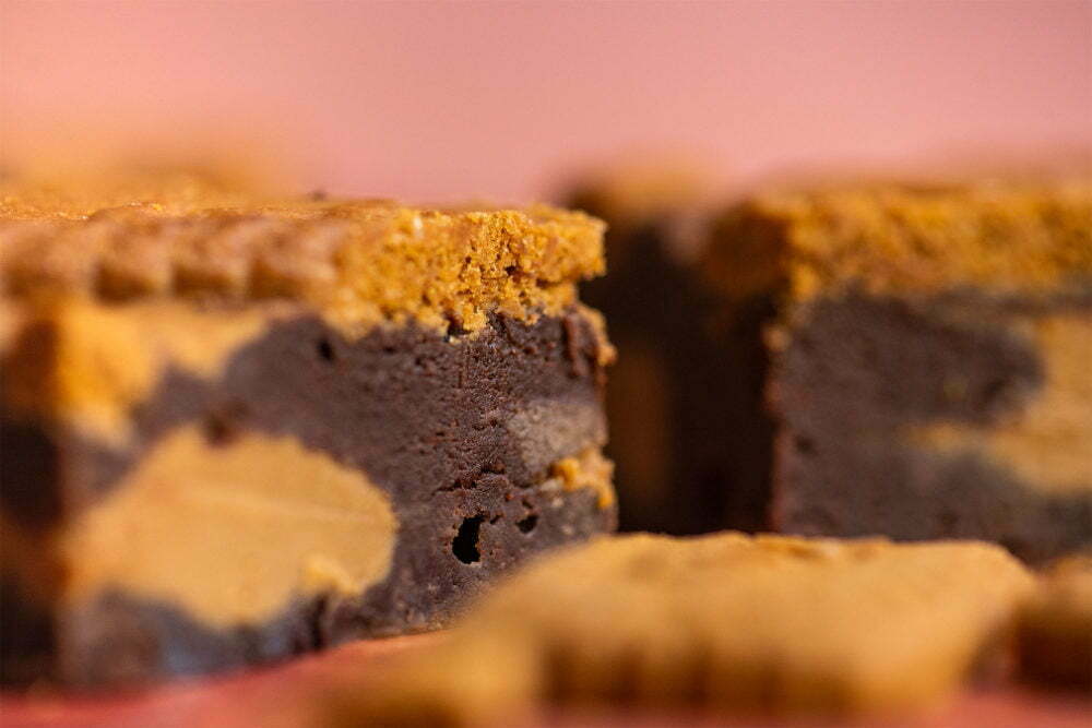 Two fudgey chocolate brownies are sliced in half to show the profile of flavours. There are dollops of Lotus Biscoff Blondie and there are Lotus Biscoff Biscuits on top and in vision. The background is pink and they're sitting on a terracotta surface.